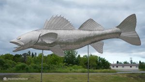 Walleye sculpture by Bill Lishman, Hastings ON