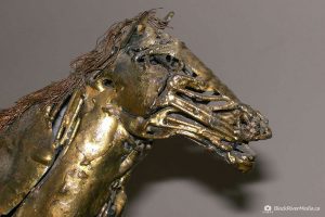 Bronze horse closeup
